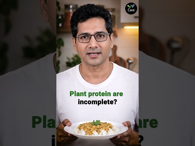 The Plant Protein Bible