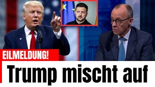 TRUMP ZERSTÖRT MERZ – Die Brandmauer brennt, CDU im Untergang!