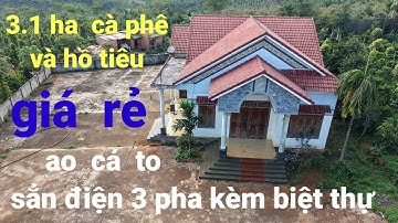 3.1 HA CÀ PHÊ HỒ TIÊU,AO CÁ TO KÈM BIỆT THỰ SẲN ĐIỆN 3 PHA,BÁN GẤP VỀ QUÊ GIÁ RẺ BÈO LH 0979.653.223