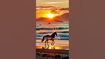 سورة العاديات (كاملة) 🌿القارئ بدر البشر 🌿 #القران_ #سورة #1million #1k