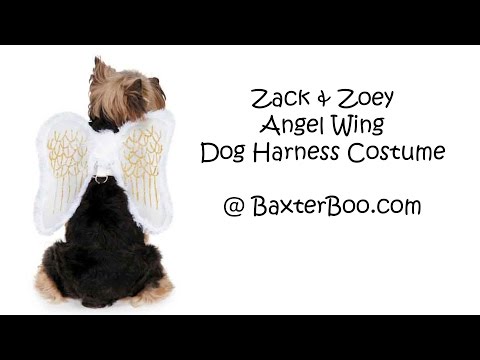 zack-and-zoey-angel-wing-dog-harness-costume