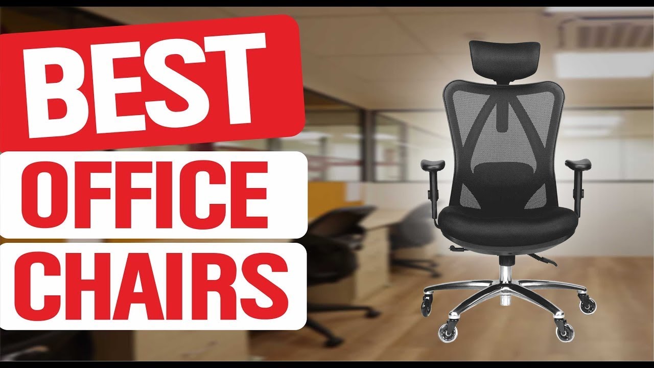 The 8 Best Office Chairs for Back Pain of 2024