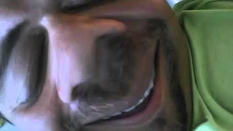 Moss On the IT Crowd