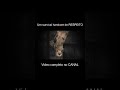 Um survival hardcore de RESPEITO #darkwood #darkwoodgameplay #survivalgame