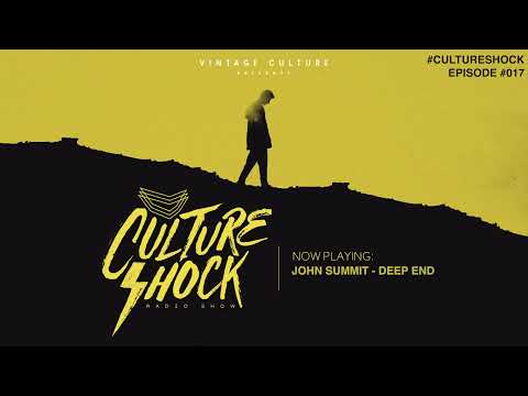 Vintage Culture - Culture Shock #017 - Best of 2021