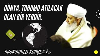 Dünya Tohumu Atılacak Olan Bir Yerdir Muhammed Konyevi Ks