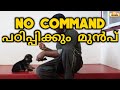 dog training : "no" Command  Malayalam : kerala dog training : Training the no command : laze media