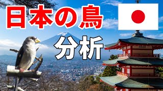 日本の野鳥を11グループに分けました！珍しさ・季節・地域による特徴について解説！（Analysis of Japanese Birds）