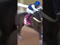 ياناس قلبي خضر ياناس قلبي خضر