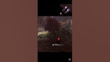 Deadhard at exit gate #dbd #deadbydaylight #dbdshorts #deadbydaylightsurvivor #dbdclips #dbdgameplay