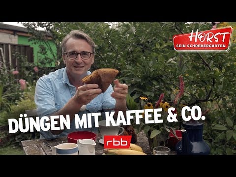 Video: 23 Verwendung Von Bananenschalen: Für Hautpflege, Haargesundheit, Erste Hilfe Und Mehr