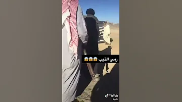 رمي الذيب 