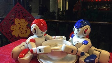 UBTECH Alpha 2 Perform in CCTV-1 Lantern Festival Gala