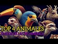 Top 4 animales nicos y fantsticos de latinoamerica