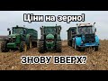 Ціни на ячмінь СТРИБНУЛИ вверх. Продавати? Кукурудзу тримати