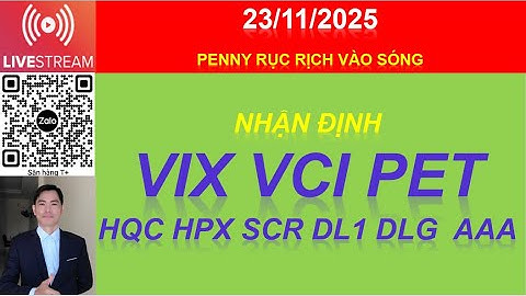 23/11 Penny có vào sóng. Nhận định Cổ phiếu VIX VCI PET  HQC HPX SCR DL1 DLG  AAA