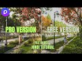 Can You Match Pro Quality in D5 Free? (Exterior Tutorial)