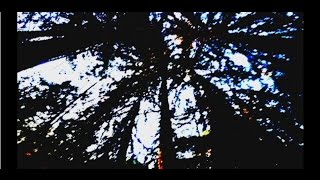 Video thumbnail of "Soul Majestic-Deep Green (Official Video) [Single out now Album out in the Fall]"