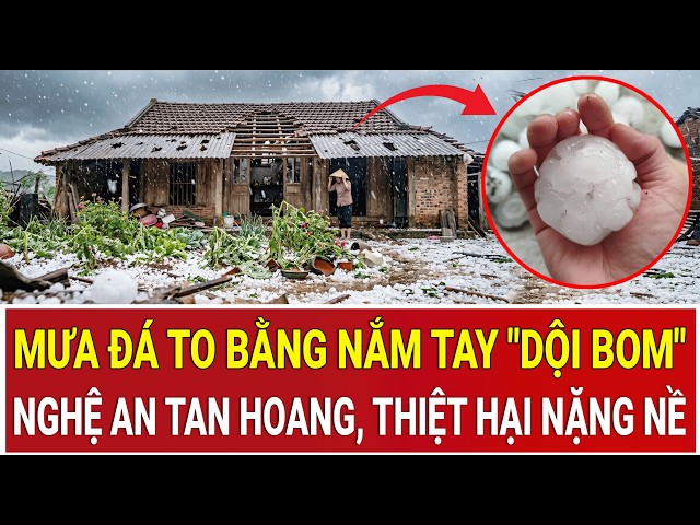 Mưa đá to bằng nắm tay "dội bom" 30 phút, một xã ở Nghệ An tan hoang, thiệt hại nặng nề