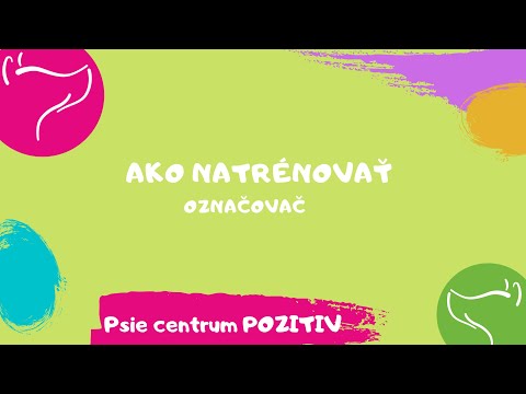 Video: Ako Trénovať Zvieratá