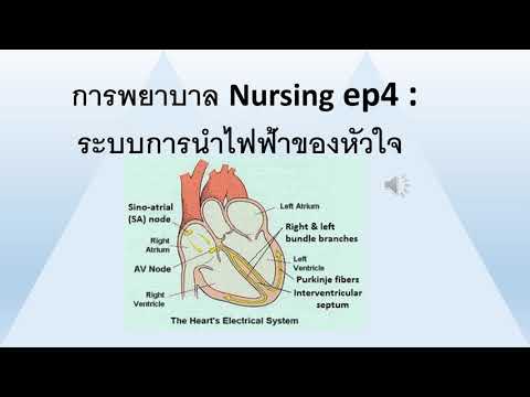 การพยาบาล Nursing ep4 : ระบบการนำไฟฟ้าของหัวใจ I Thanika chanel