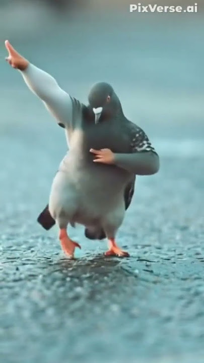VIDEO BURUNG LUCU JOGET#fypシ゚viral #funny #burung #jogetseru #fypyoutube