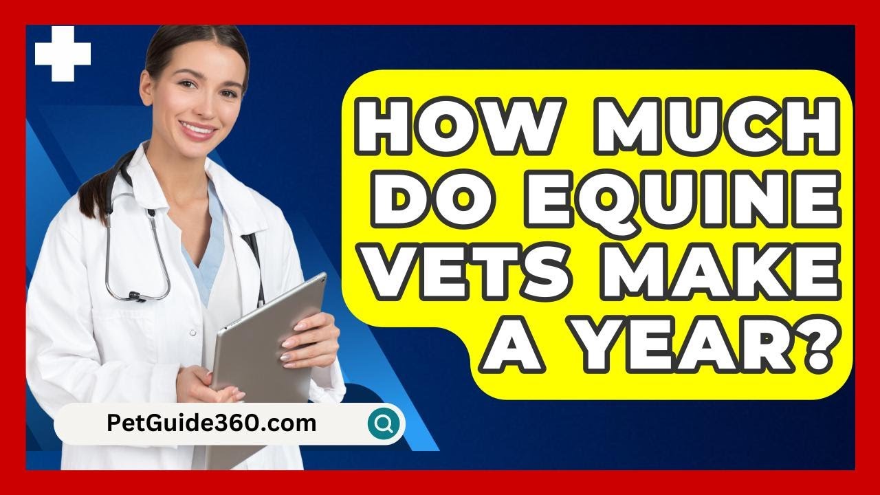 How Much Do Equine Vets Make A Year PetGuide360 YouTube How Much Do Equine Vets Make A Year PetGuide360 YouTube