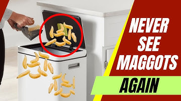 How to Prevent Maggots in Garbage Cans – 5 Proven Methods That Work!