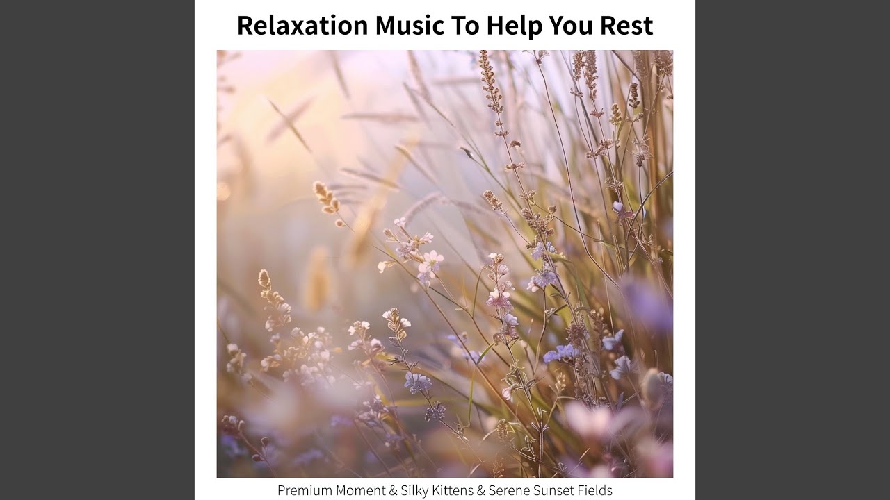 Goodnight, Sweet Dreams (Key E Ver.)