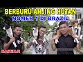 BERBURU ANJING HUTAN - BASENJI NO.1 BRAZIL の動画、YouTube動画。