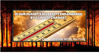 Universal earth's transformation| Wildfire | Effects of Climate Change | Global warming