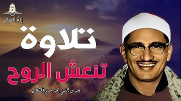 تلاوة لا توصف تخترق القلوب 💖 والعقول للشيخ محمد صديق المنشاوي.صوت نقي..🎧