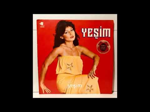 AKLIN  NEREDEYDİ   -   YEŞİM