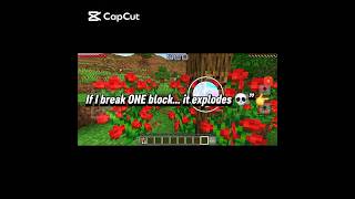 “Minecraft but EVERYTHING Explodes 💀”