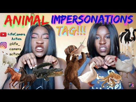 funny-animal-impressions-tag-/-what-does-the-fox-say?