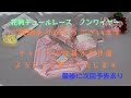 【下着】　花柄チュールレースノンワイヤー　ブラジャー＆ショーツ 【ランジェリー】【ブラジャー】