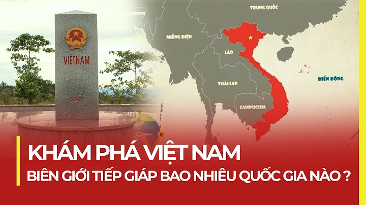 Bao nhiêu năm việt nam mới giáp lại sergame năm 2024