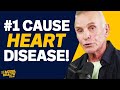 Why cholesterol is not the cause of heart disease  what actually is   dr jonny bowden