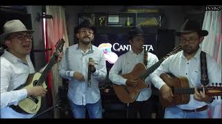 Video thumbnail of "Grupo Cantaleta - Torbellino del fiestero"