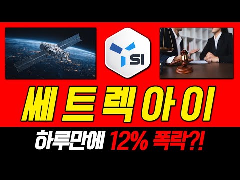 쎼 트 렉 아 이!!!! 하루만에 12% 폭락?!!!?