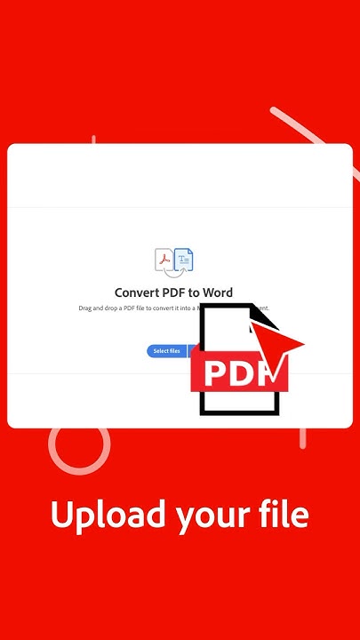 Convert PDFs into editable Word files in one click | Adobe Acrobat ...