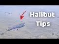 Halibut tips  drop shot rig explained