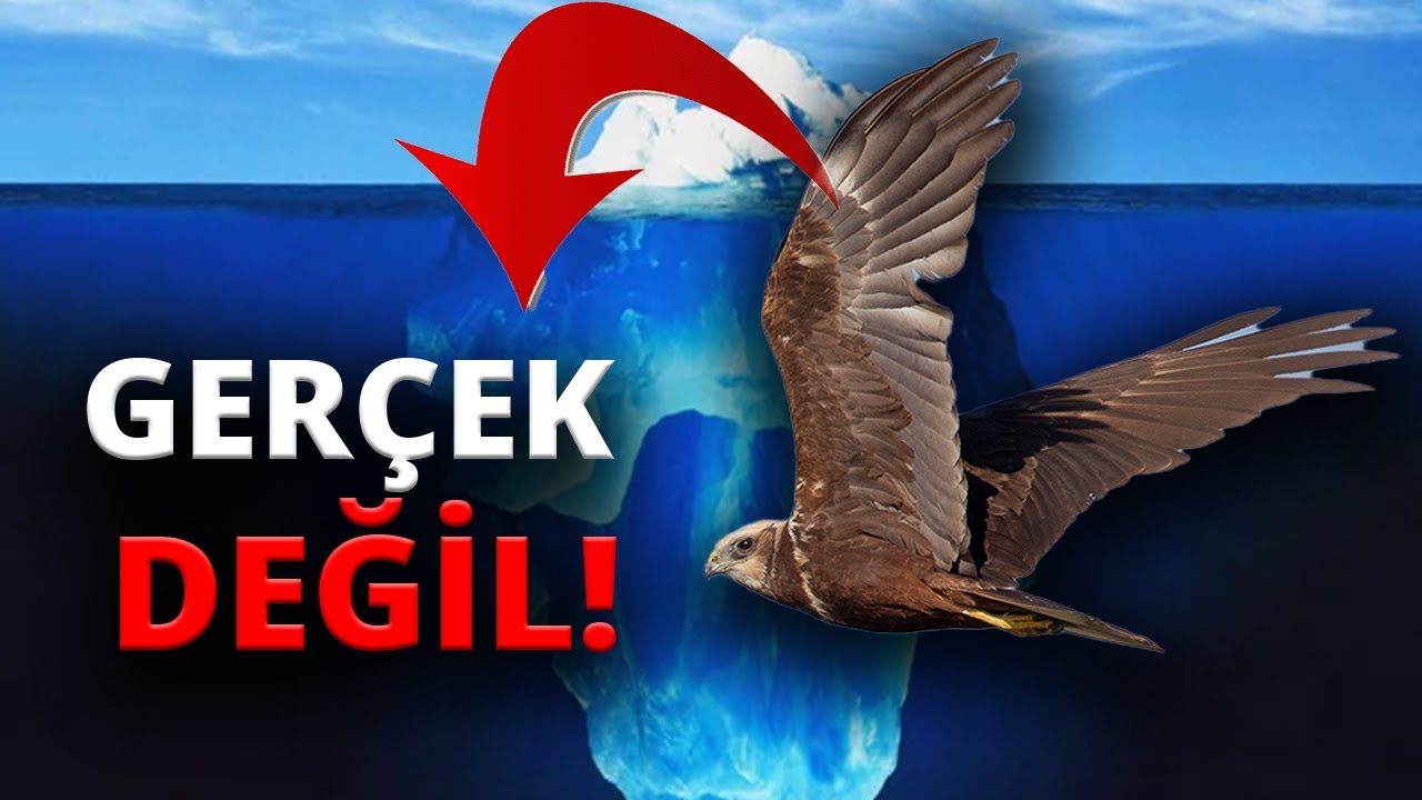 KOMPLO TEORİLERİ BUZDAĞI