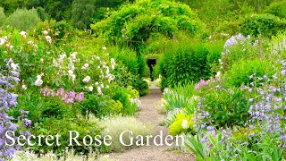 Secret Rose Garden tour & story, UK| Gardening Scotland 2023| Private Residence