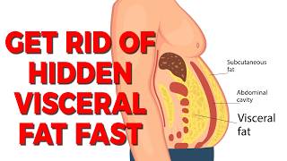 Get Rid of Hidden Visceral Fat Fast: 4-Step Plan for 60 Days