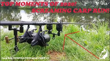 Carp Run COMPILATION 2020! Compilation of YOUR RUN!