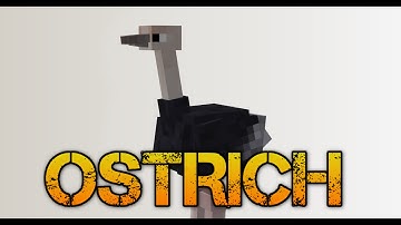 Techne Speed Modelling - 04 - Ostrich