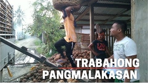 coconut loading (part5)