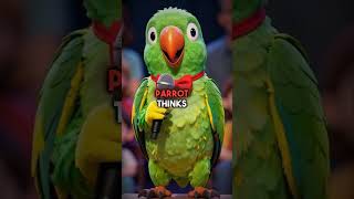 Pets Audition for America's Got Talent - The Most Chaotic Talent Show Ever!