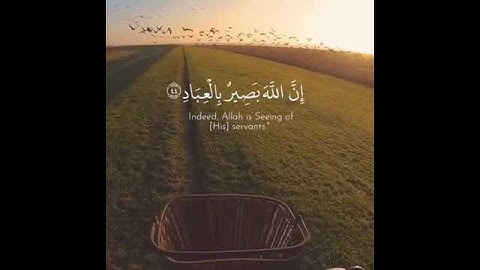 { وَأُفَوِّضُ أَمْرِي إِلَى اللَّهِ } القارئ هزاع البلوشي سورة غافر - الآية 44